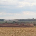 solvika-peatmoss-42.JPG
