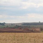 solvika-peatmoss-42.JPG